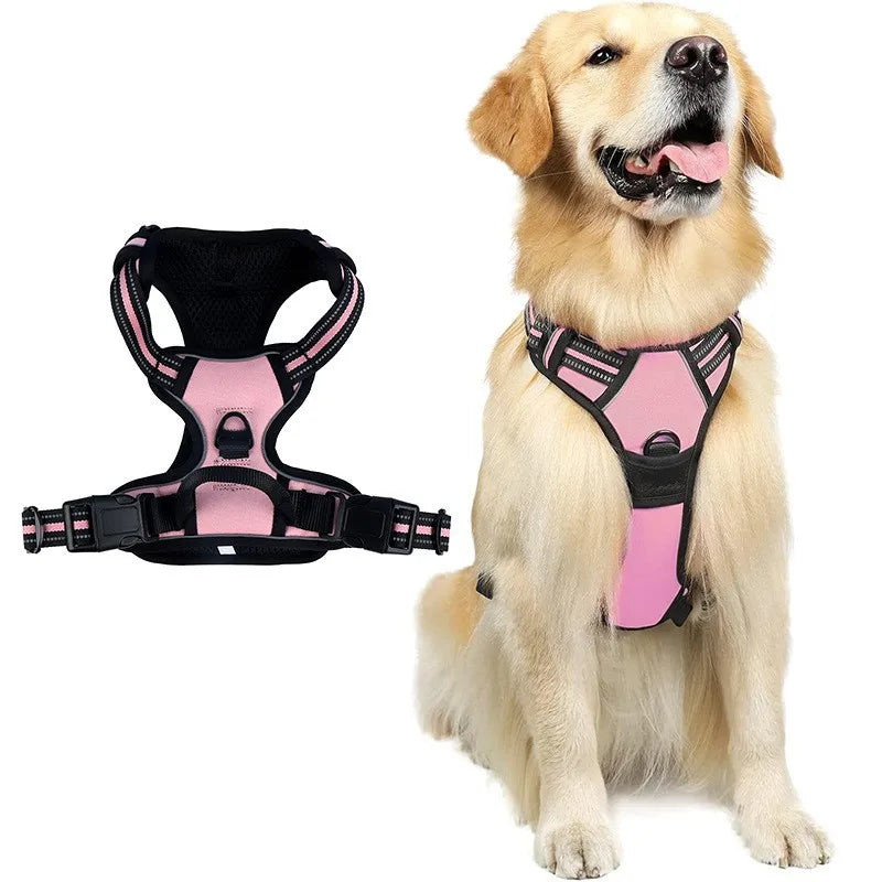 laisse harnais pour chien