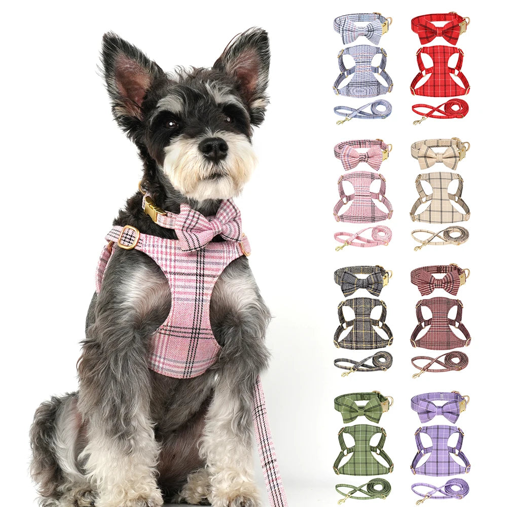 collier et laisse pour chien girly