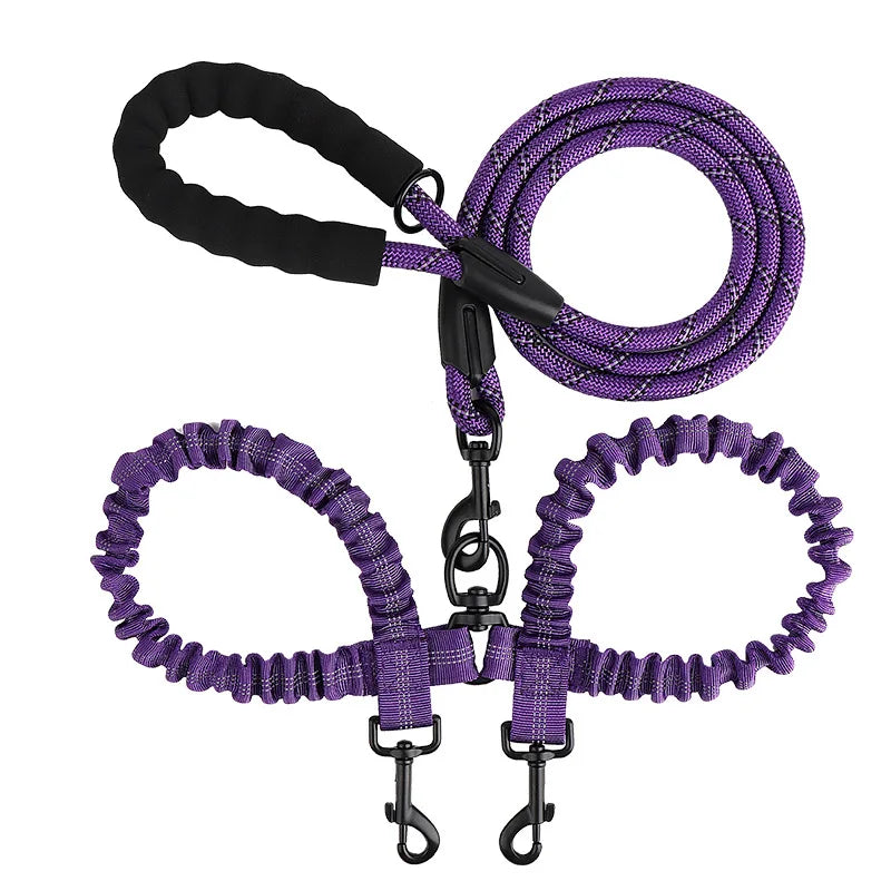 laisse double chien qui tire