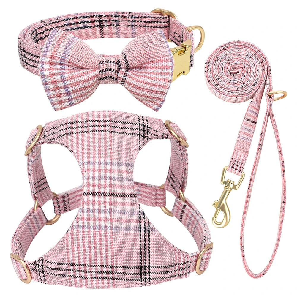 collier et laisse pour chien girly