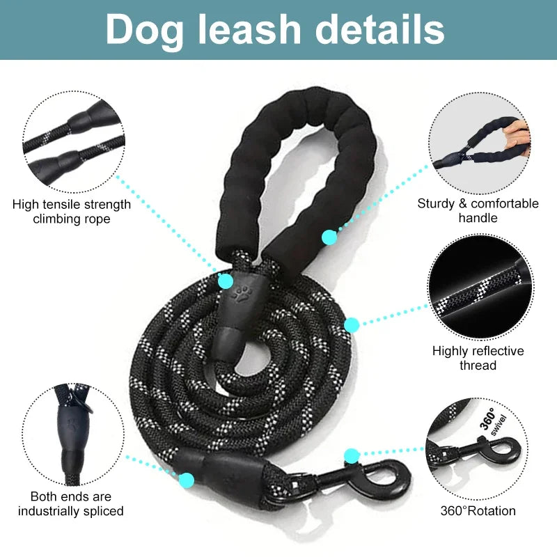 laisse harnais pour chien