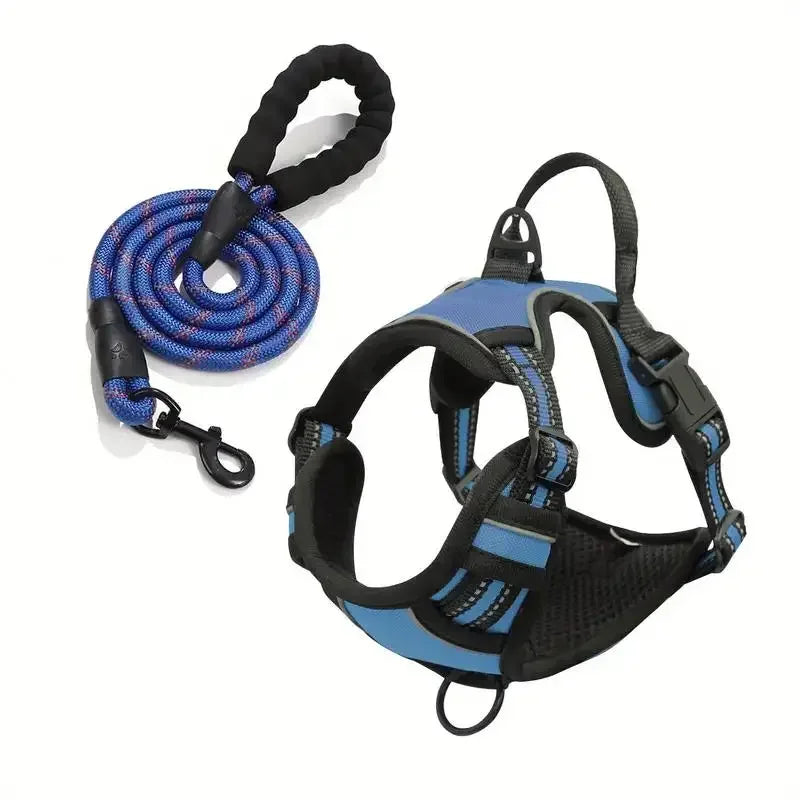laisse harnais pour chien