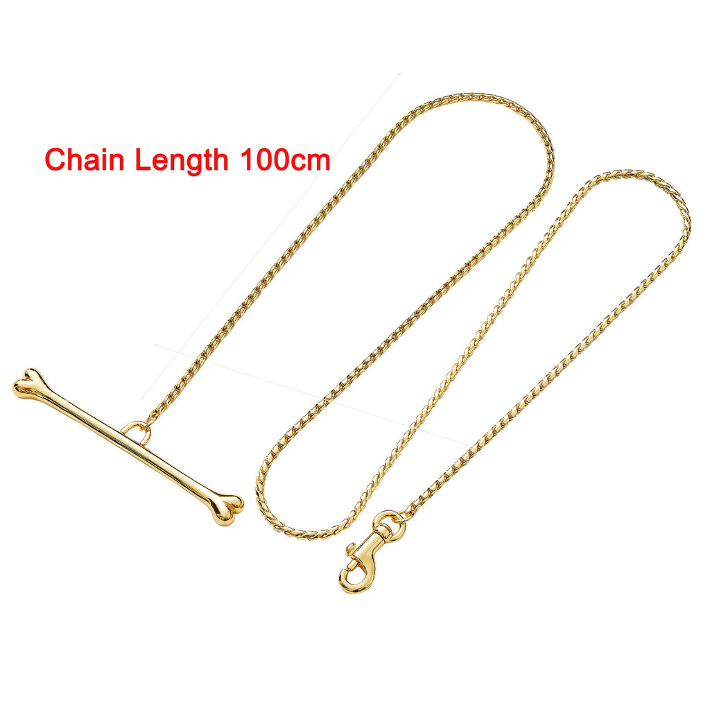 laisse pour chien chaine