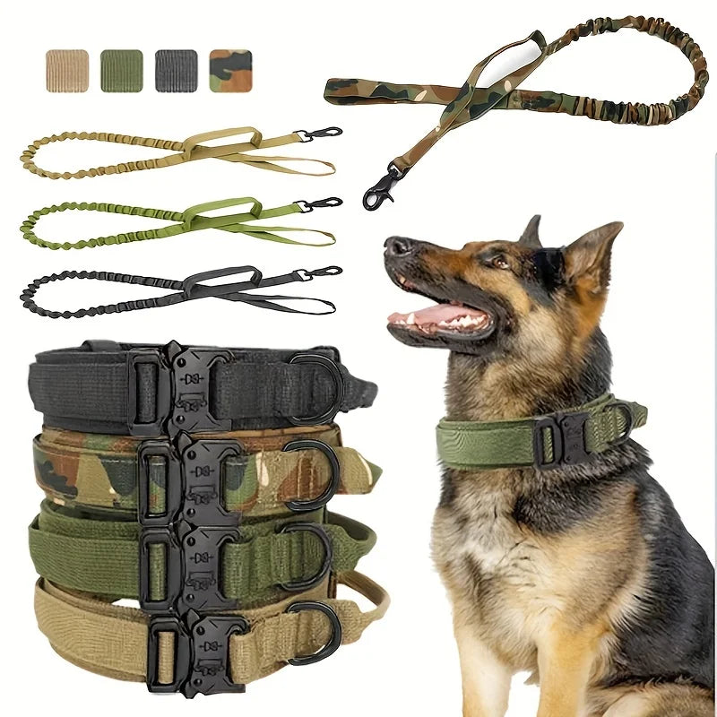 collier et laisse pour chien camouflage