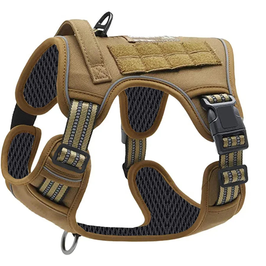 laisse tactique pour chien