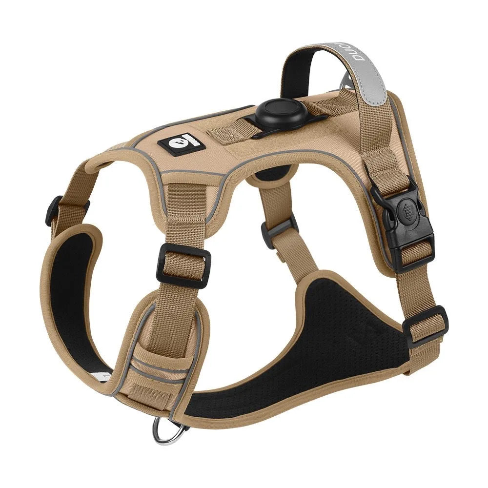 ensemble harnais laisse pour chien