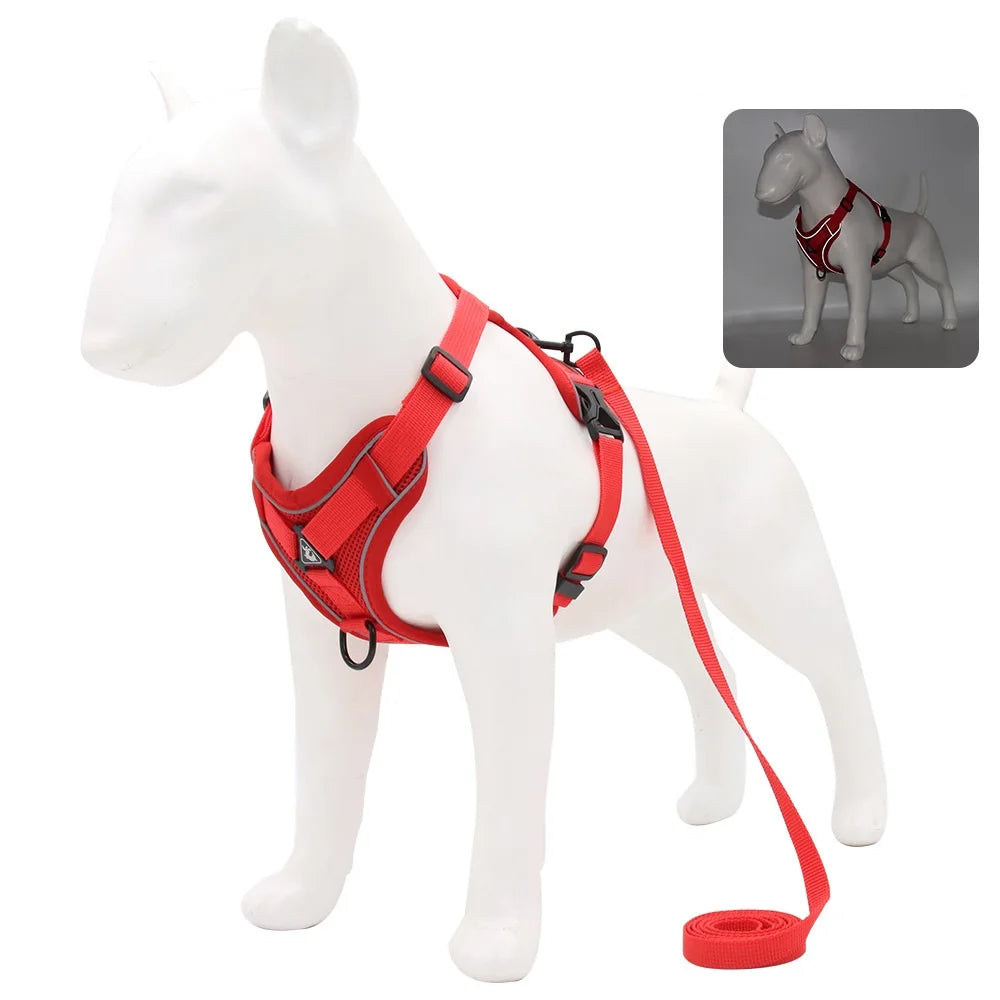 harnais laisse pour chien de moyen taille