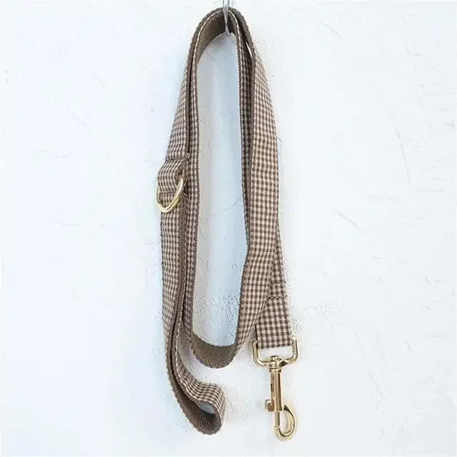 laisse plate pour chien