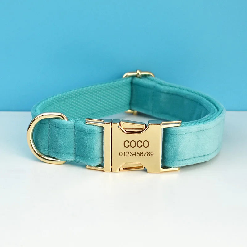laisse d'exposition pour chien turquoise