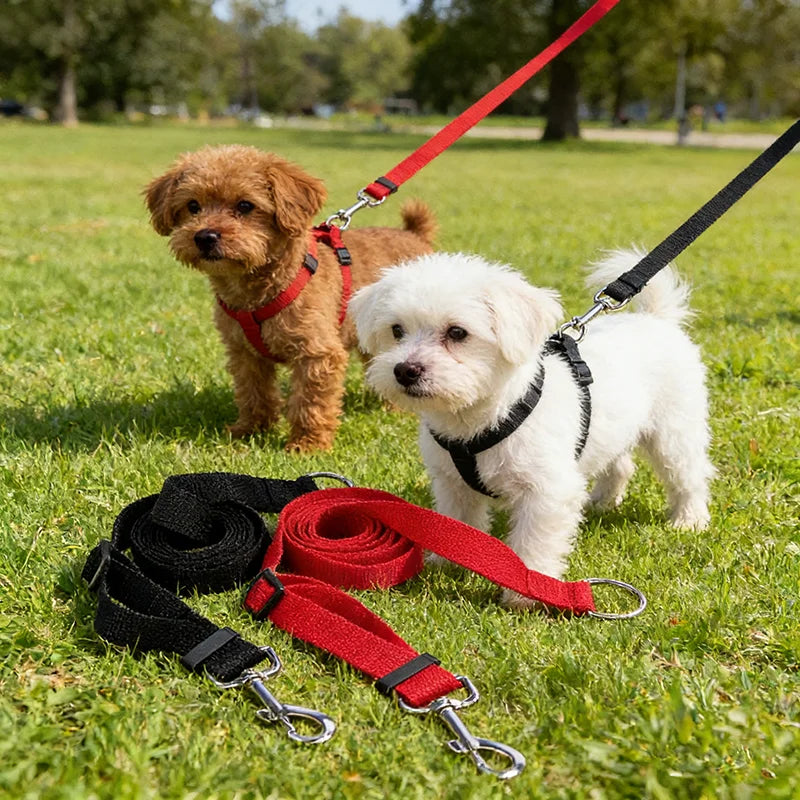 laisse 1m50 pour petit chien