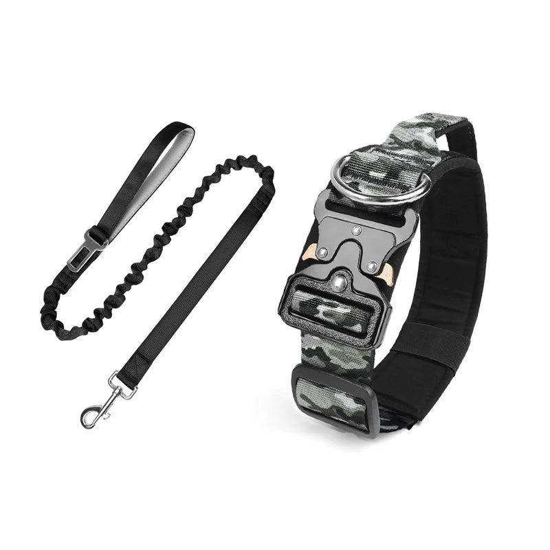collier et laisse d'intervention pour chien berger allemand