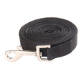 laisse 30m pour chien