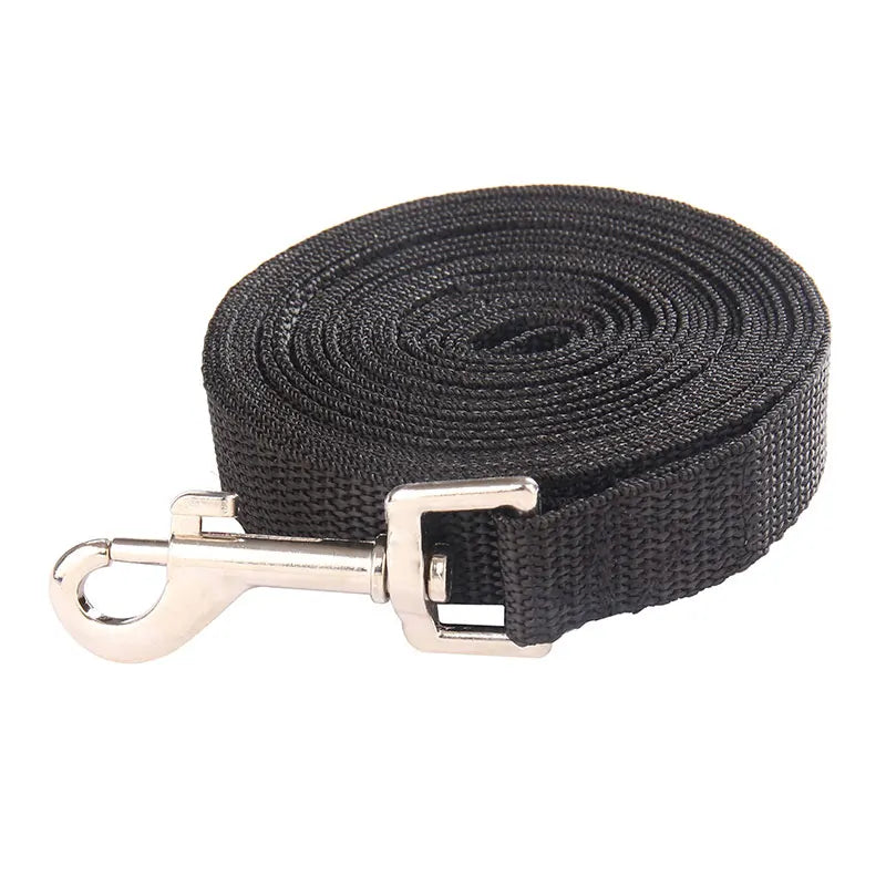 laisse 30m pour chien