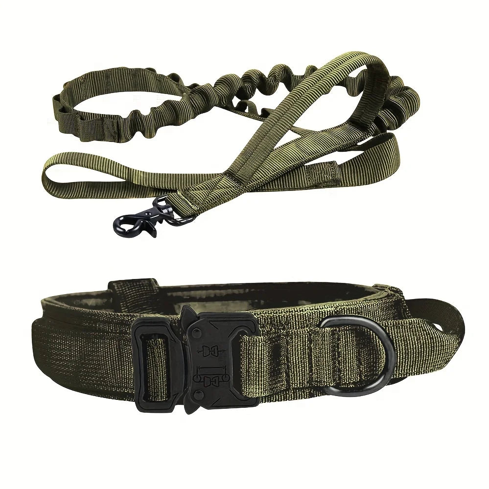 collier et laisse pour chien camouflage