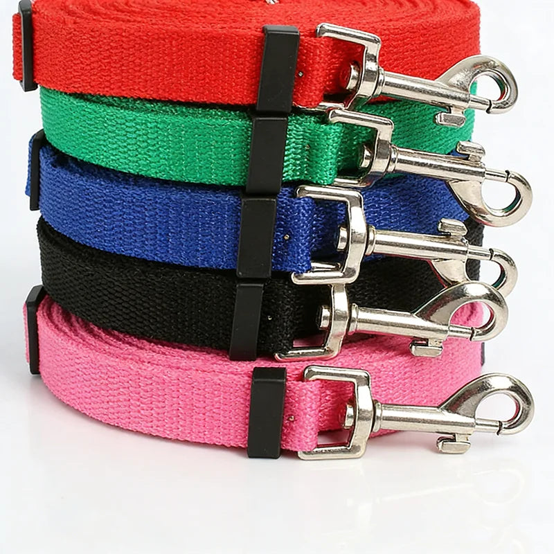 laisse 1m50 pour petit chien