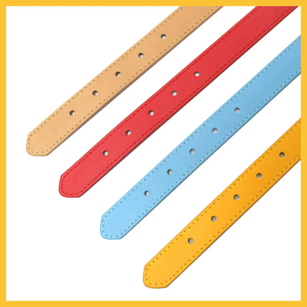 colier pour chien cuir et strace blanc