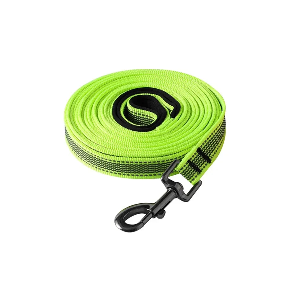 laisse fluo pour chien