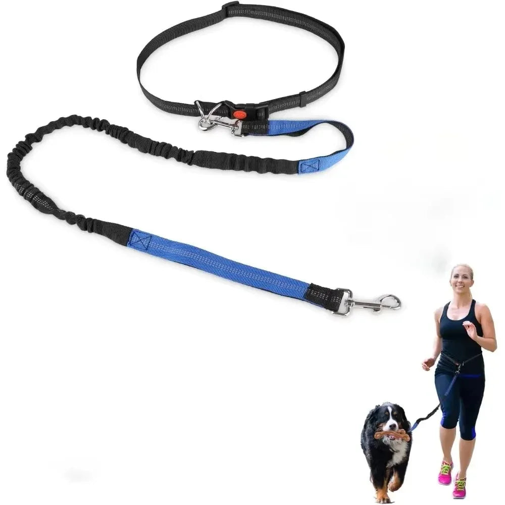 laisse corde pour chien