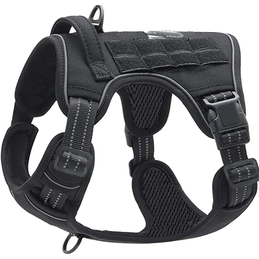 laisse militaire pour chien