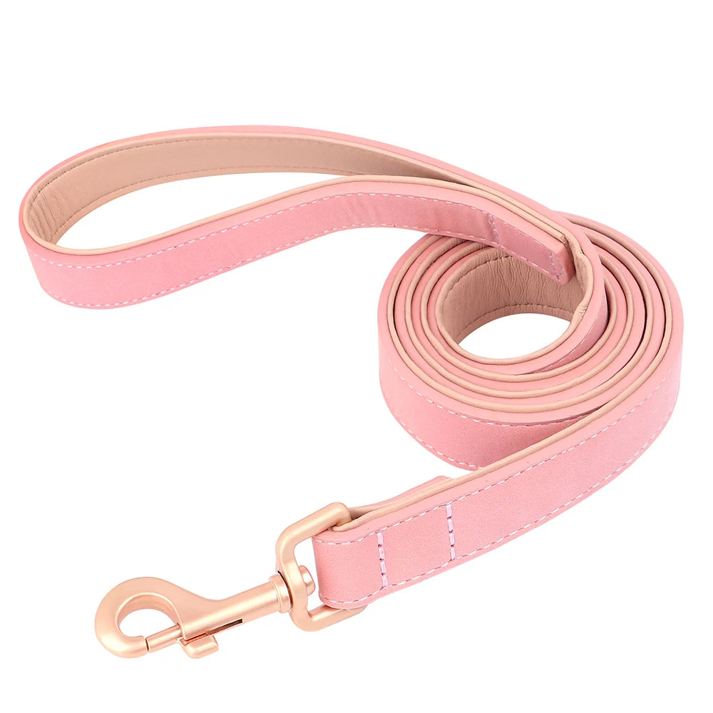 laisse en cuir