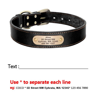 collier epais en cuire avec laisse pour gros chien