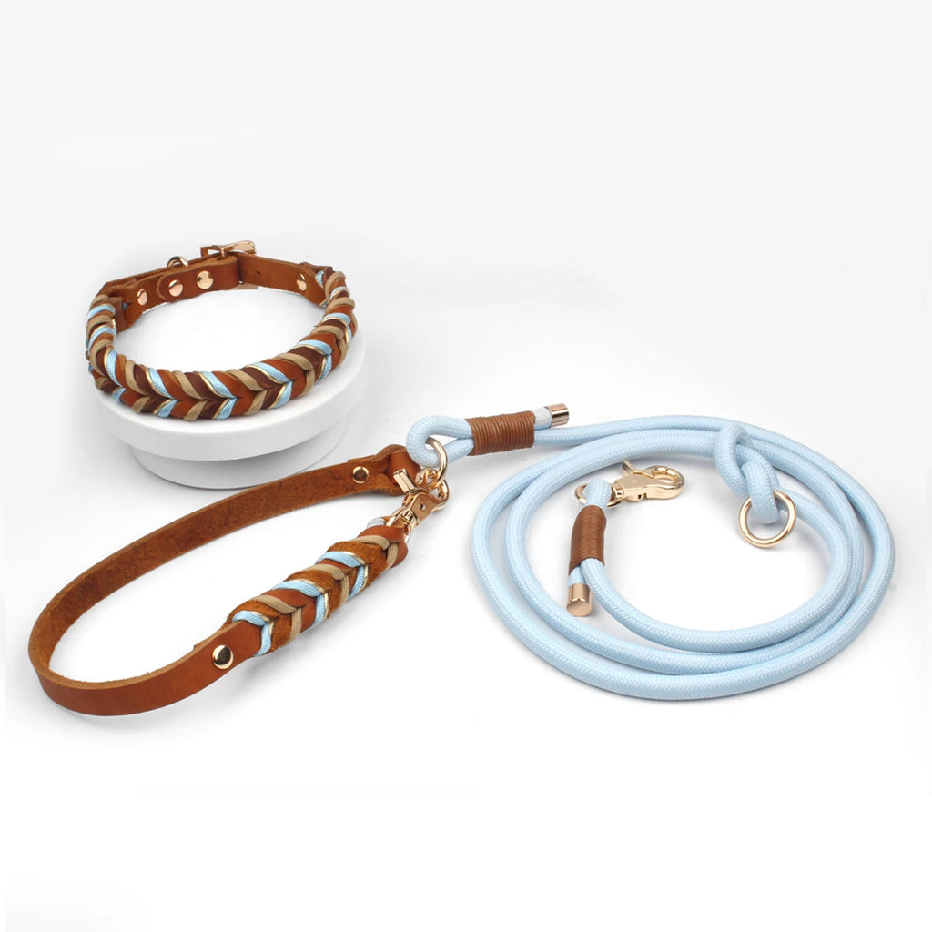 laisse pour chien tresser