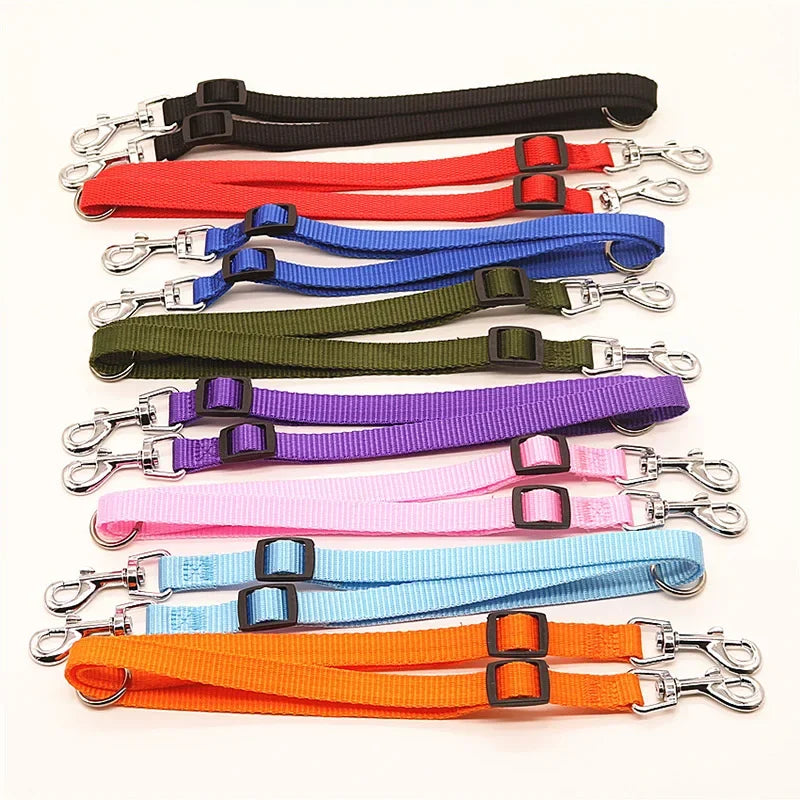 laisse 2 accroche pour chien