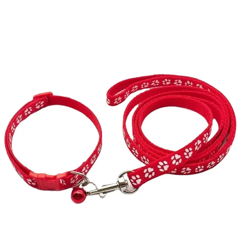 laisse rouge pour chien