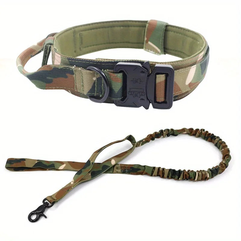 collier et laisse pour chien camouflage