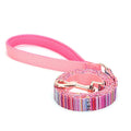 laisse crochet pour petit chien
