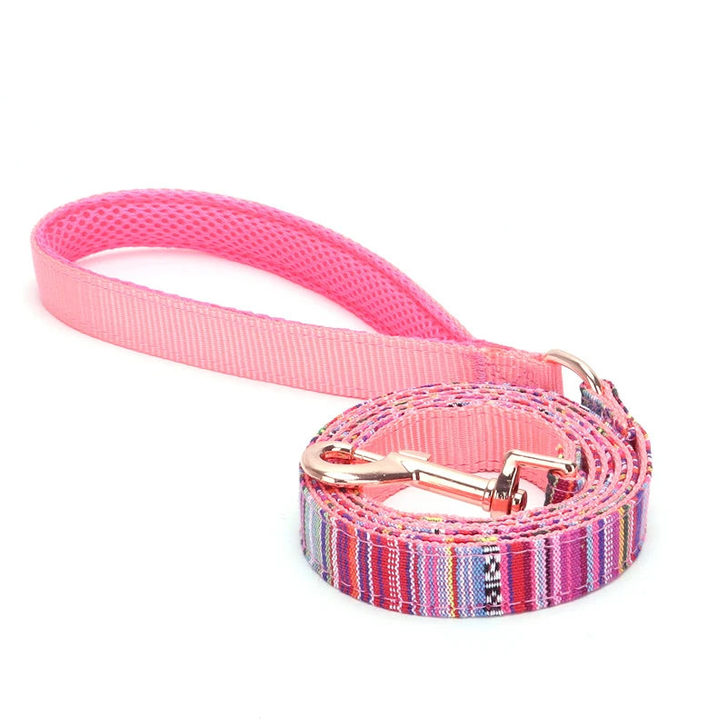 laisse crochet pour petit chien