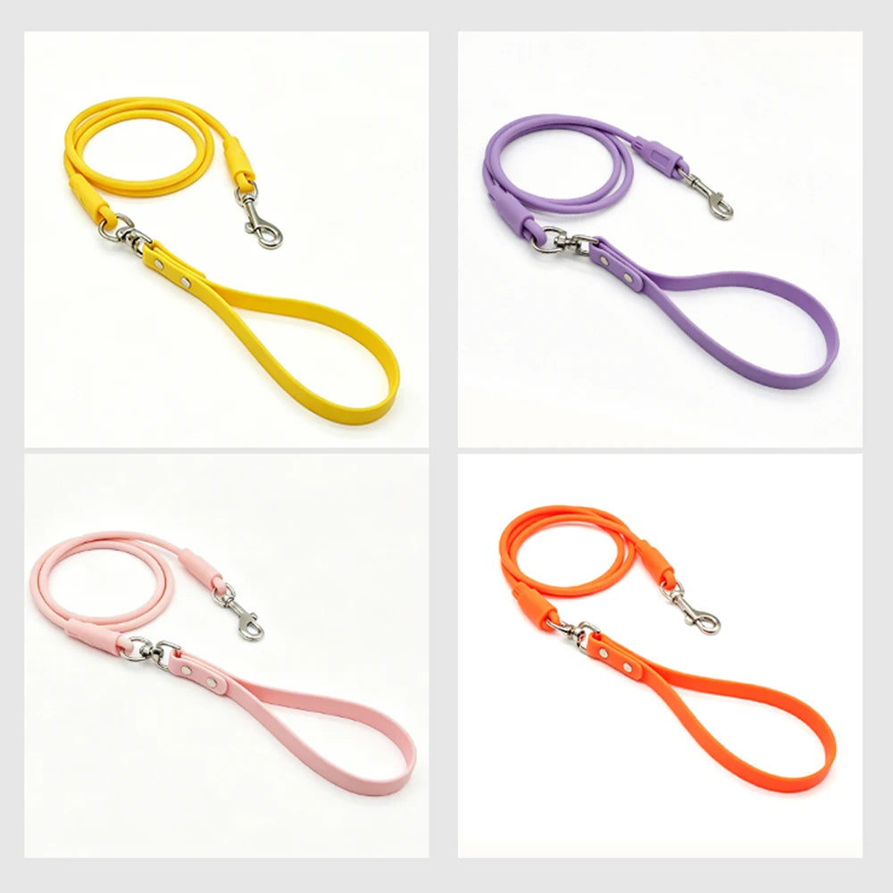 laisse pour chien spitz nain