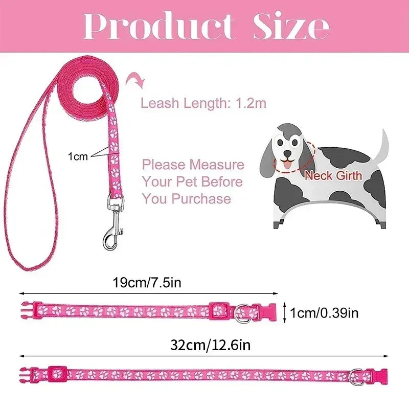laisse rouge pour chien