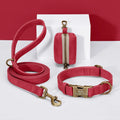 laisse d'exposition en cuir pour chien