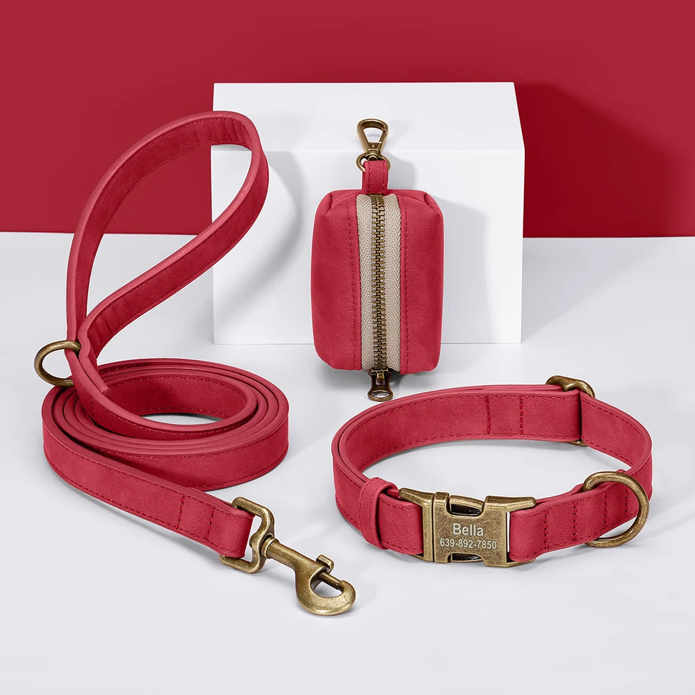 laisse d'exposition en cuir pour chien