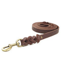 laisse dressage en cuir