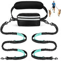 double laisse pour chien ventrale avec rangement