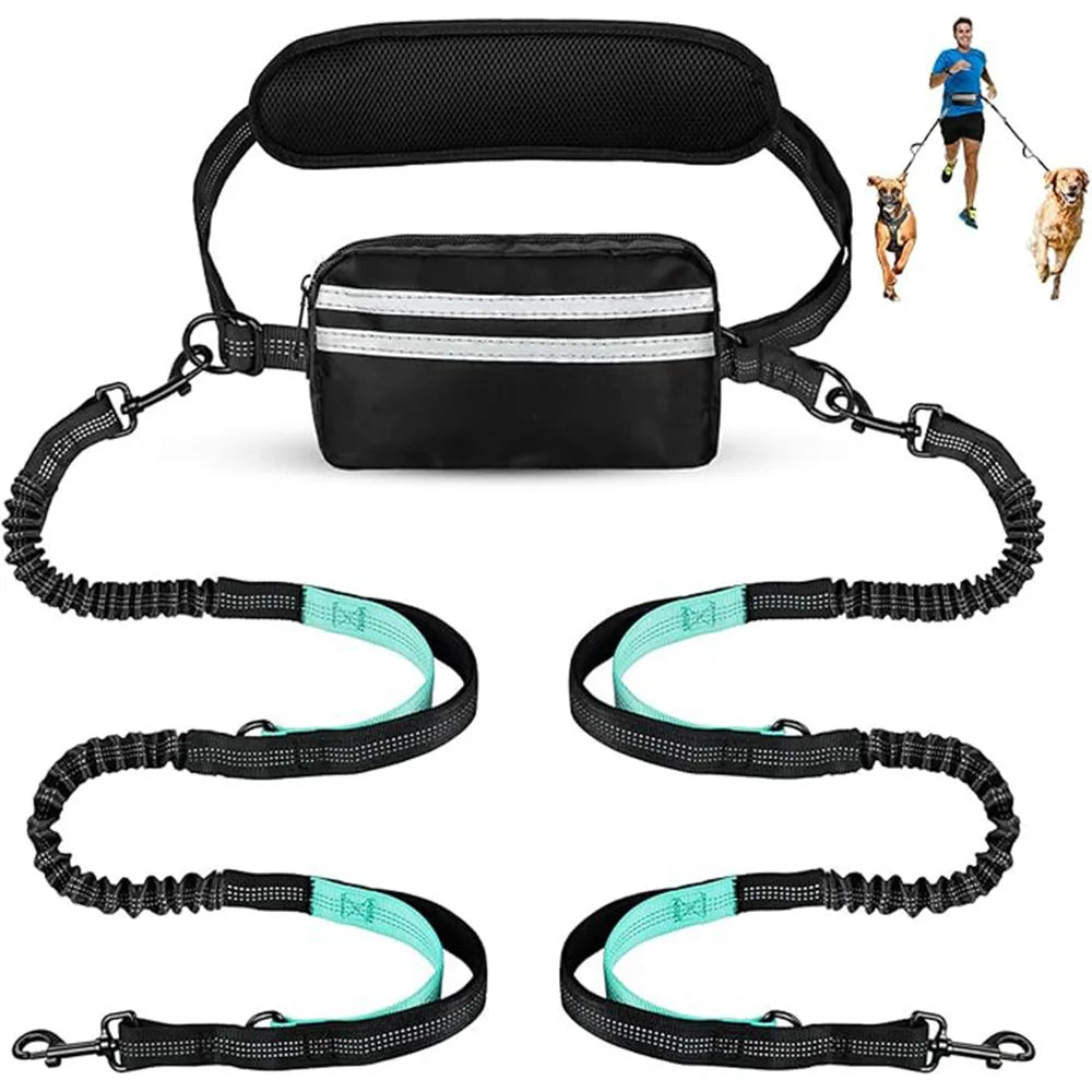 double laisse pour chien ventrale avec rangement