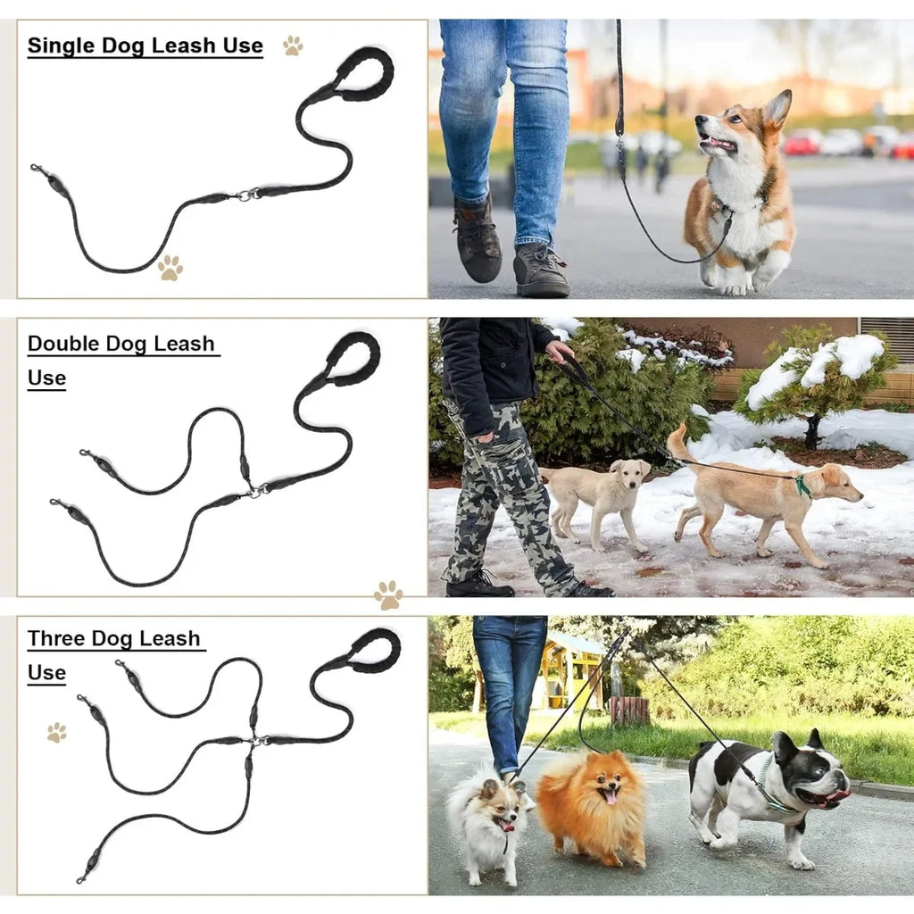 laisse pour promener 3 chien