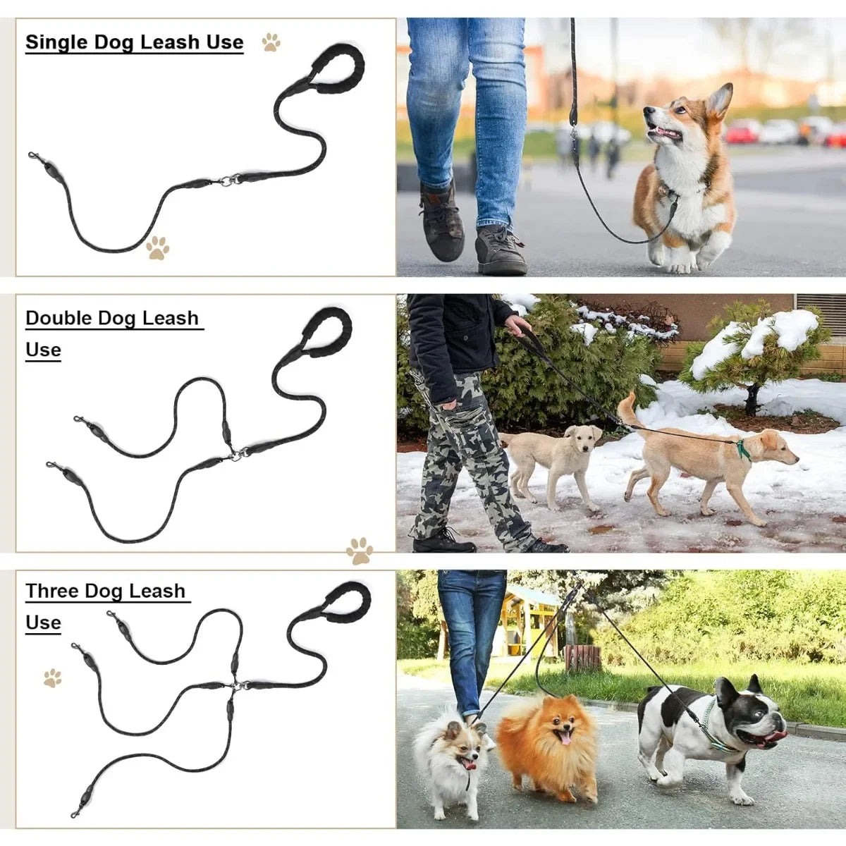 laisse pour promener 3 chien