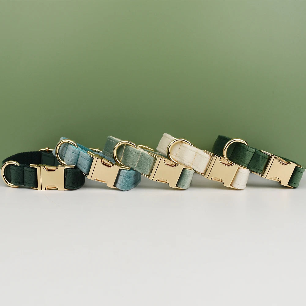 collier et laisse pour chihuahua