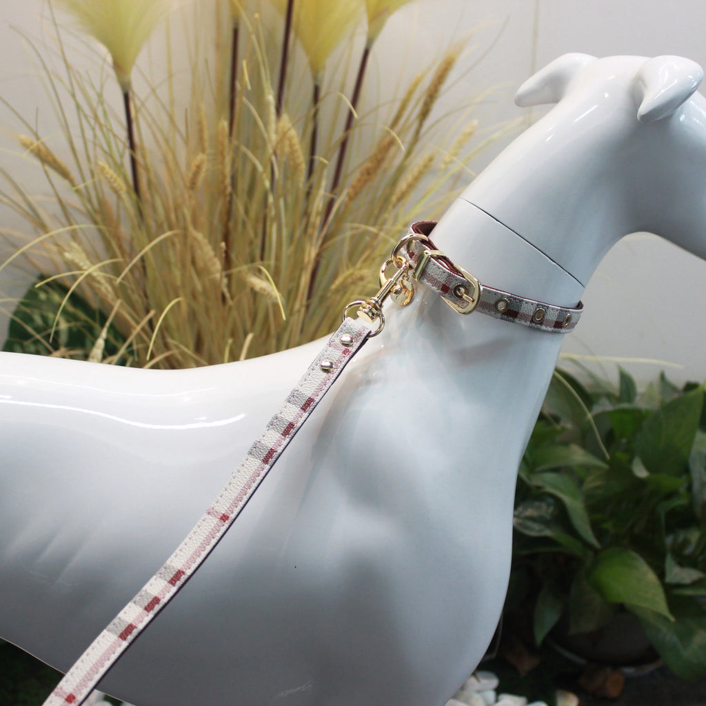collier et laisse pour chien chic