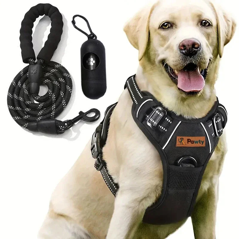 laisse harnais pour chien
