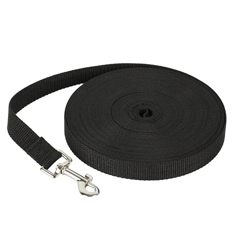 grande laisse pour gros chien