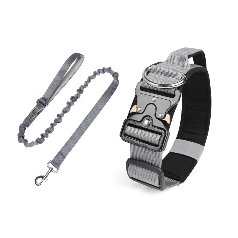 collier et laisse d'intervention pour chien berger allemand