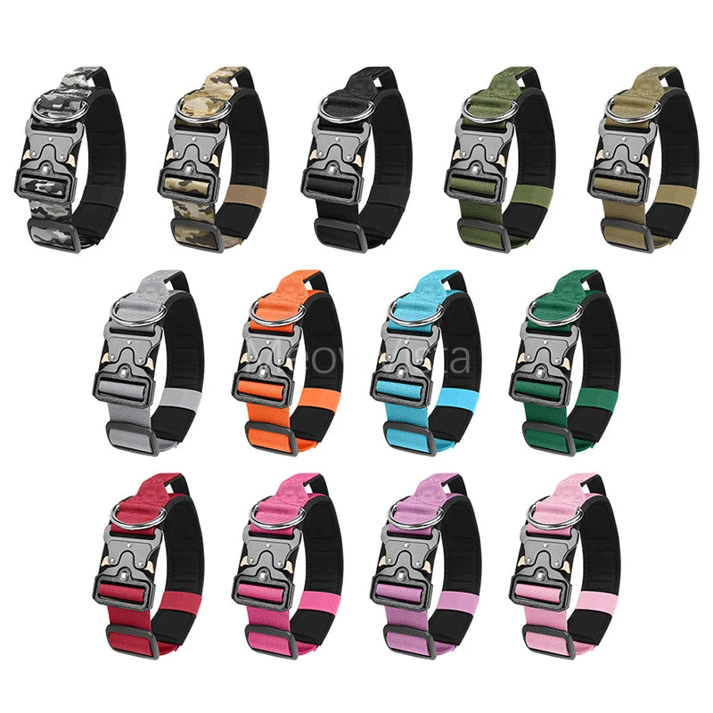 collier et laisse d'intervention pour chien berger allemand