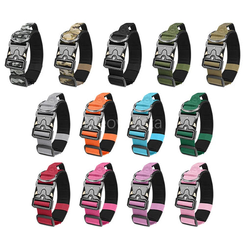 collier et laisse d'intervention pour chien berger allemand