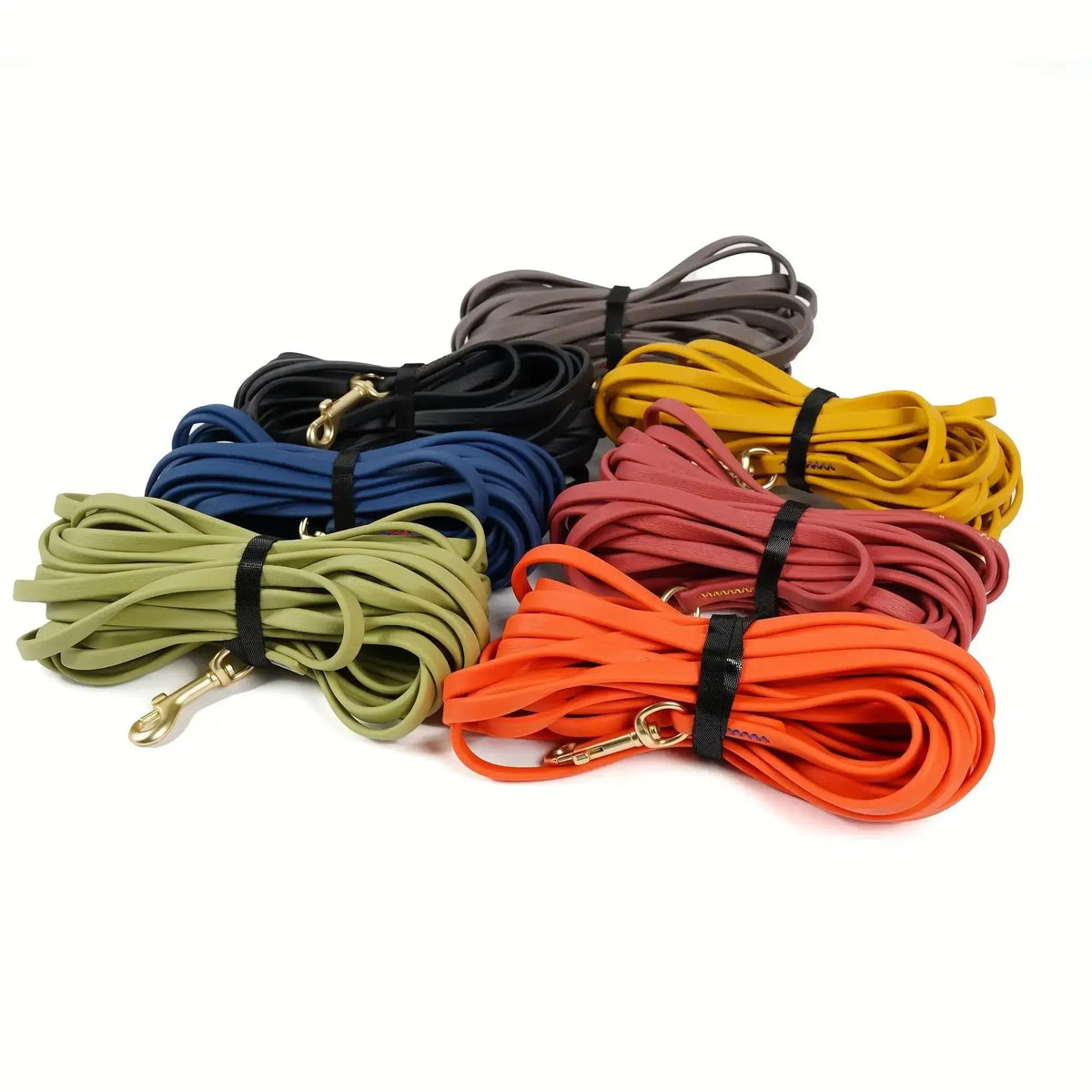 laisse pour chien jaune