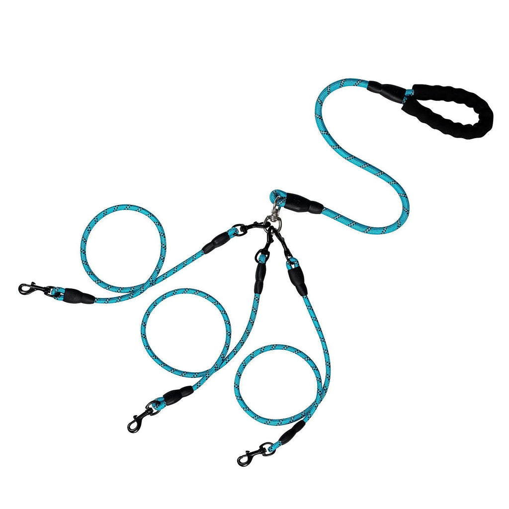 laisse pour promener 3 chien