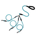 laisse pour promener 3 chien